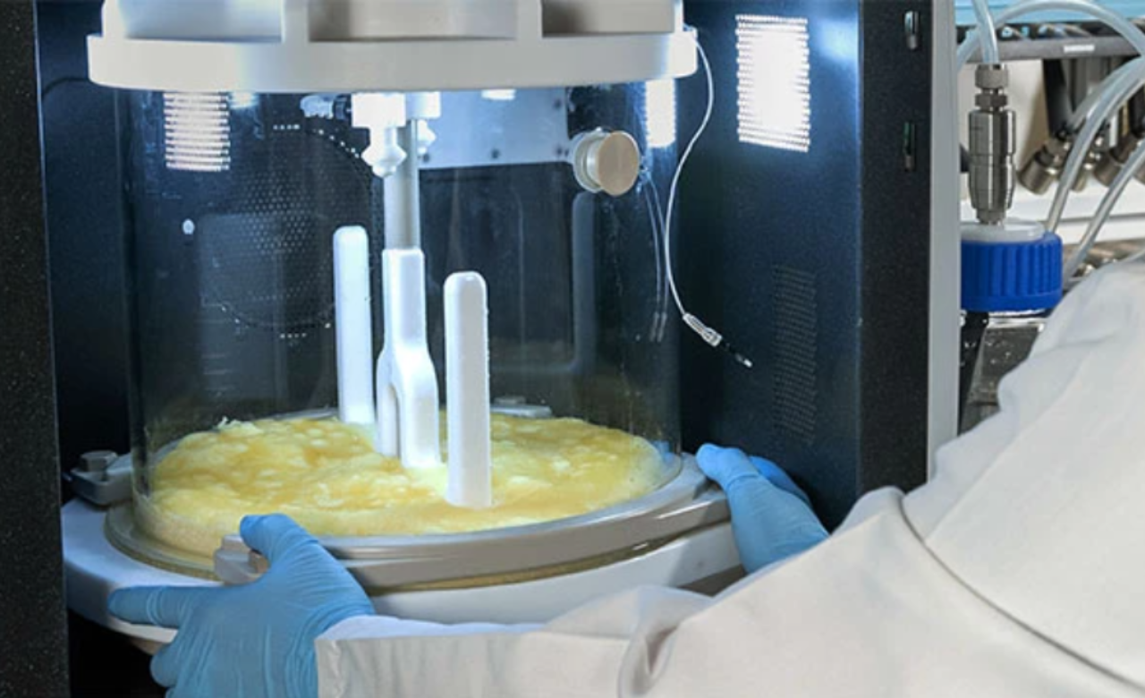 Why Is Fast Ship Service Crucial for Time-Sensitive Studies?