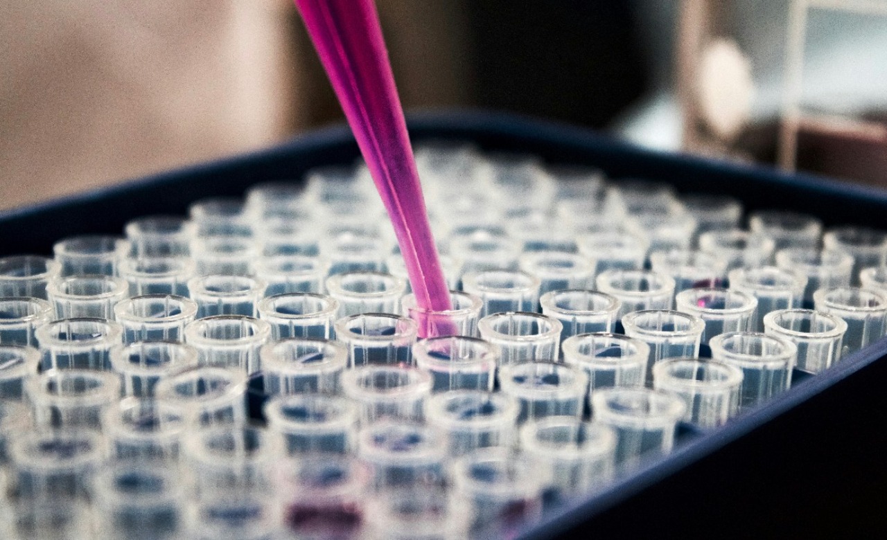 Why Compare Peptide Solutions Across Multiple Vendors?