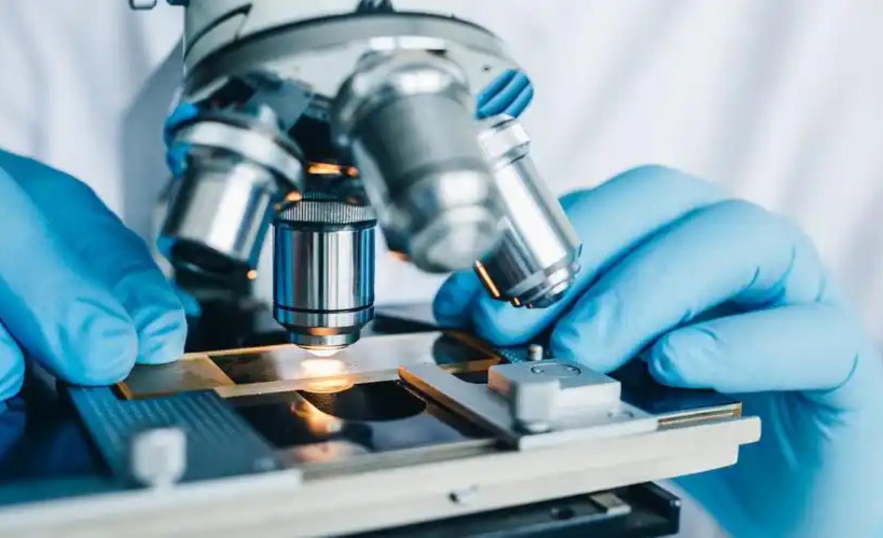 How Are Custom Peptides Developed for Specialized Research P