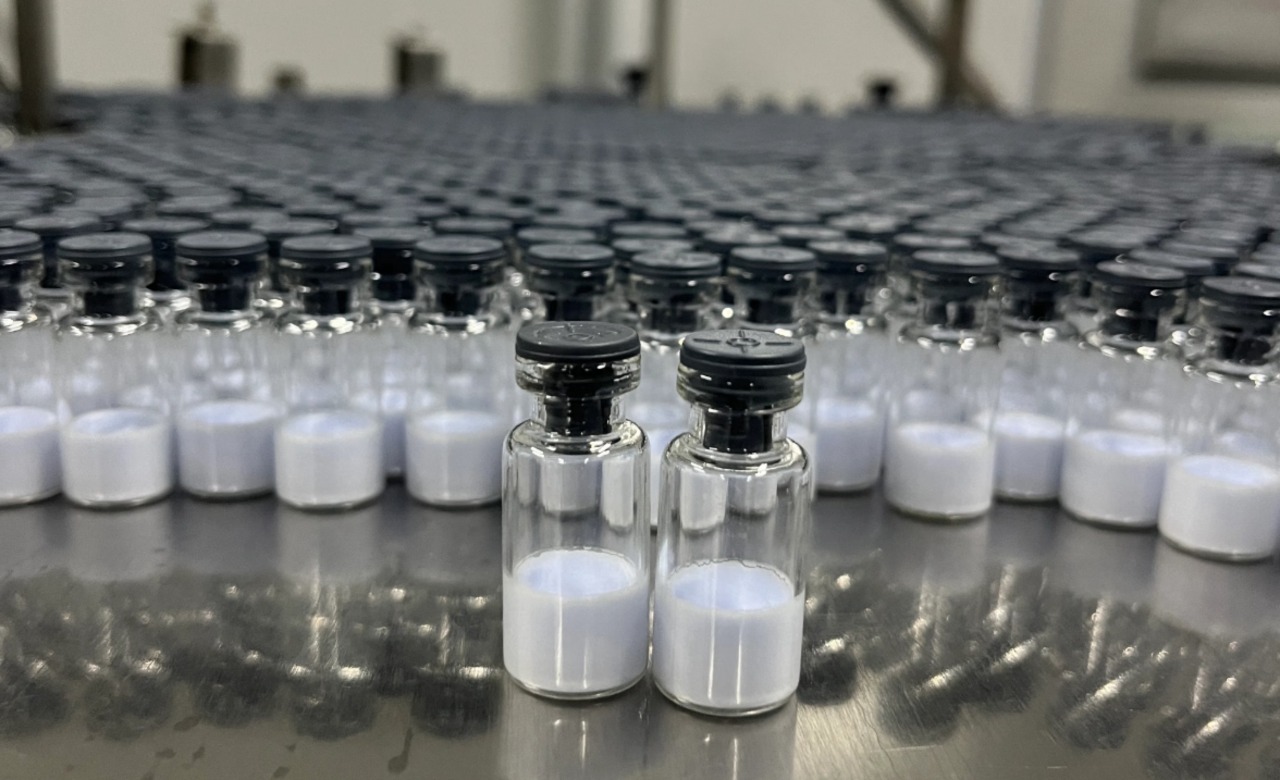 Strategies for effective peptide delivery