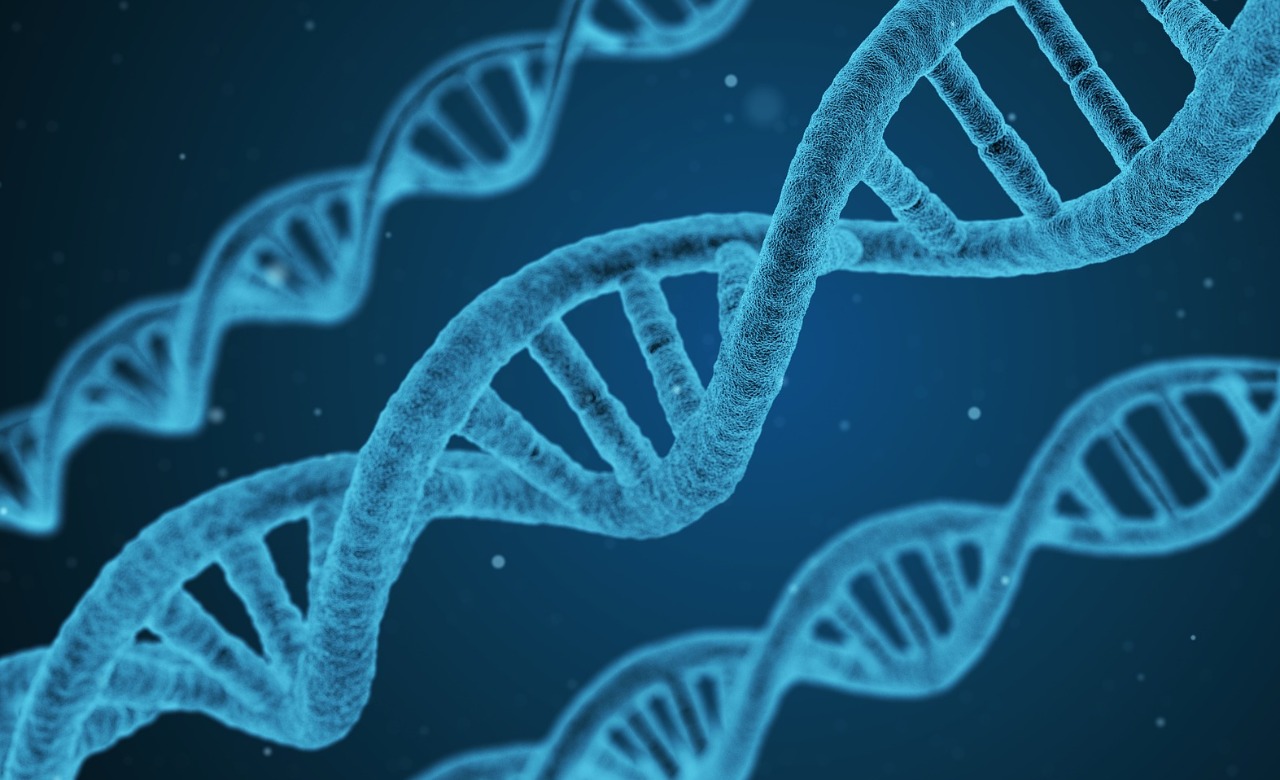 Importance of peptide design