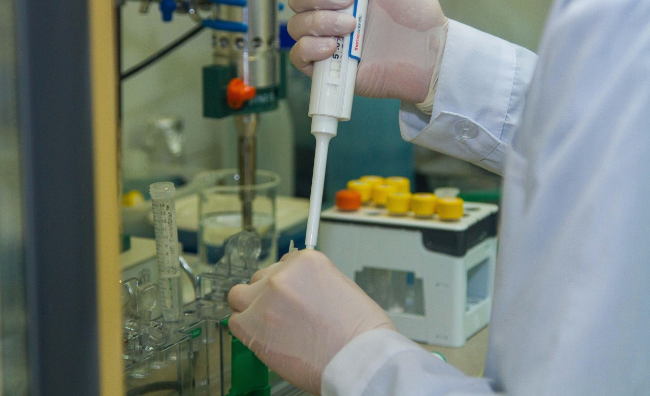 What Is the Structure–Activity Relationship?